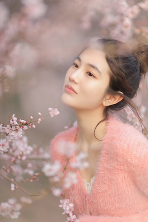 南风向黎短剧完整版