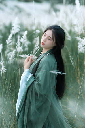 少年天子之顺治王朝